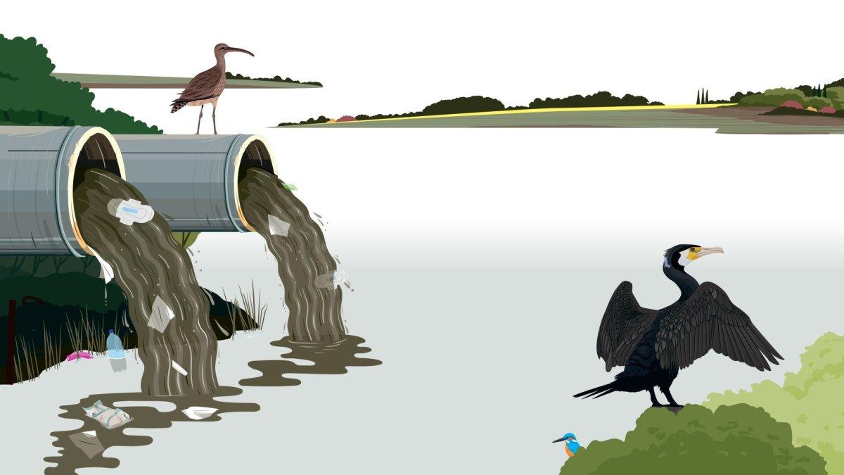 The House Opinion Article | The Choices Facing Burnham's Government On Water